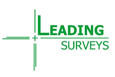Leading Surveys